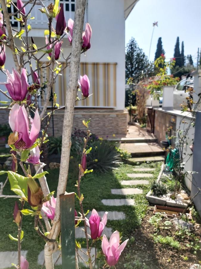 Vakantiehuis La Perla Della Conca D'oro Palermo